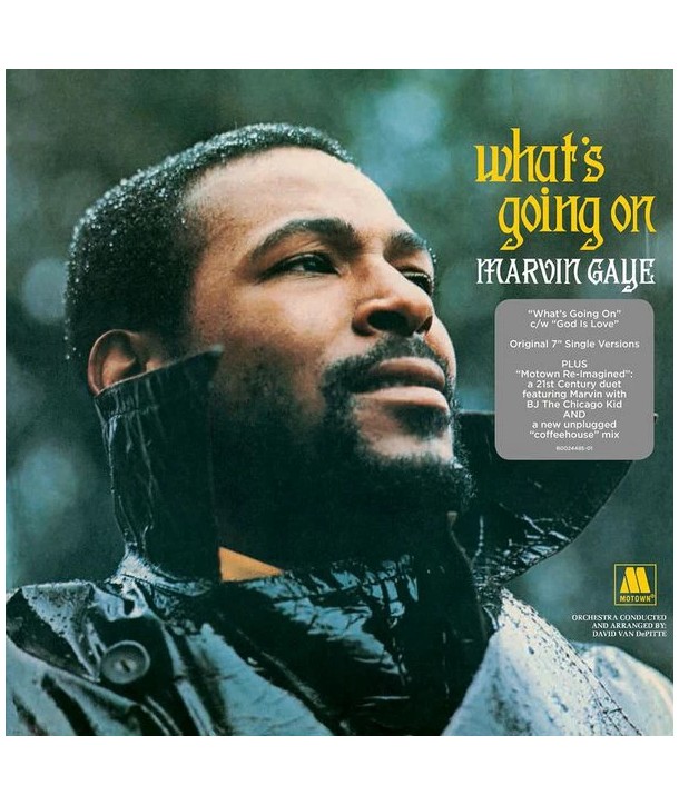 Marvin Gaye – What's Going On (VINILE 10")