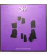 Depeche Mode – Songs Of Faith And Devotion | The 12" Singles (BOX 8x12")