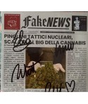 Pinguini Tattici Nucleari – Fake News (Scalata Al Big Della Cannabis) CD