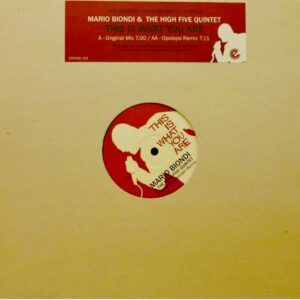 This is what you are 12”Opolopo - Mario Biondi