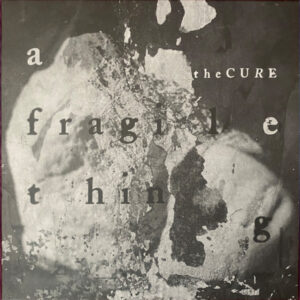 A Fragile Thing - The Cure