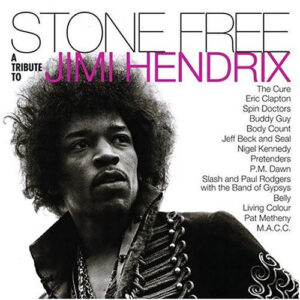 Stone Free (A Tribute To Jimi Hendrix) - Various