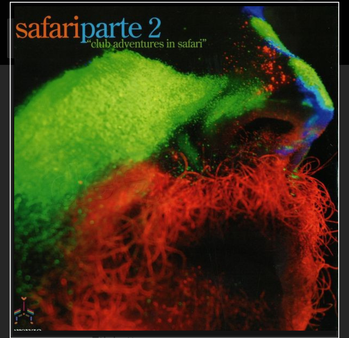 Safari Parte 2 “Club Adventures In Safari” (12″) – Jovanotti Feat. Giuliano Sangiorgi