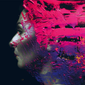 Hand. Cannot. Erase. (2 LP) - Steven Wilson