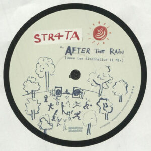 After The Rain (Dave Lee Alternative II Mix) (12") - STR4TA