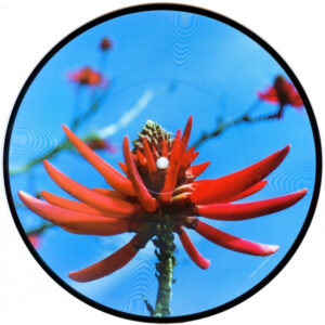 Precious (7" PDK) - Depeche Mode