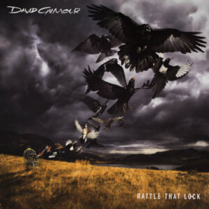 Rattle That Lock (2 LP) - David Gilmour