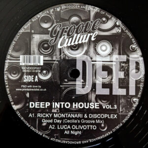 Deep Into House Vol.3 (12”) - Various