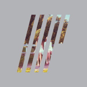 4½ (WITH INSERT) (LP) - Steven Wilson