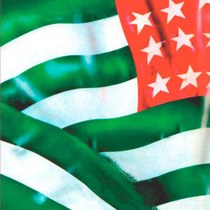 Non Siamo Mica Gli Americani! (BOX LP+7"+CD+MC) - Vasco Rossi